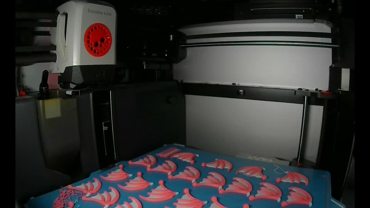 Nooga Prints LIVE!!