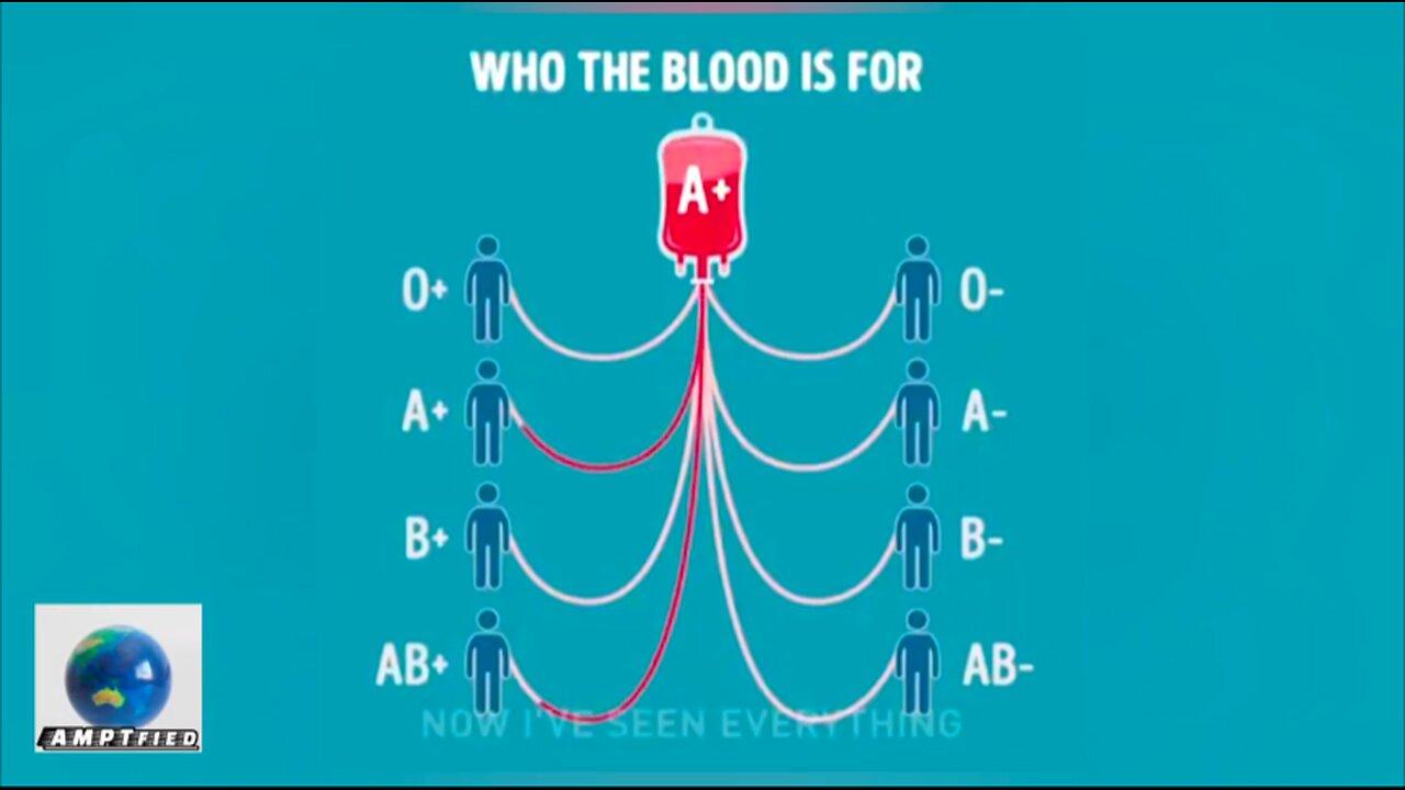 Blood Donation Compatibility: Which Blood Type Can Donate to Which?