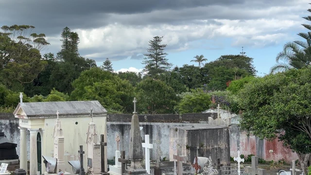 LIVE: Ponta Delgada Sao Miguel Island, Azores Portugal #IRL