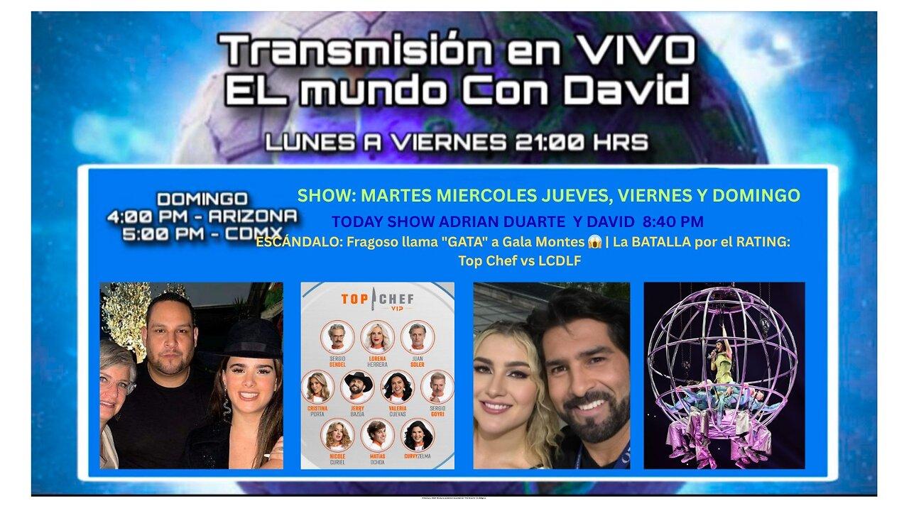 ESCÁNDALO: Fragoso llama "GATA" a Gala Montes 😱 | La BATALLA por el RATING: Top Chef vs LCDLF