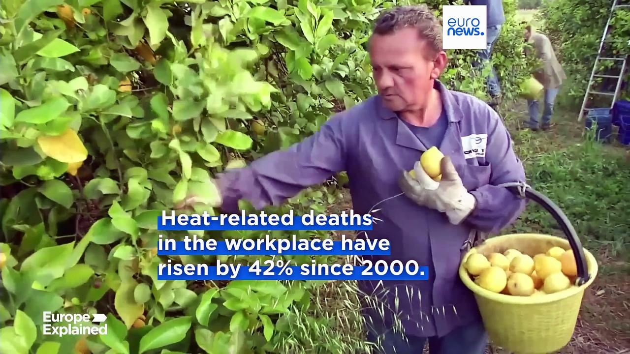 42% increase in heat-related deaths at work in the EU since 2000, trade union says