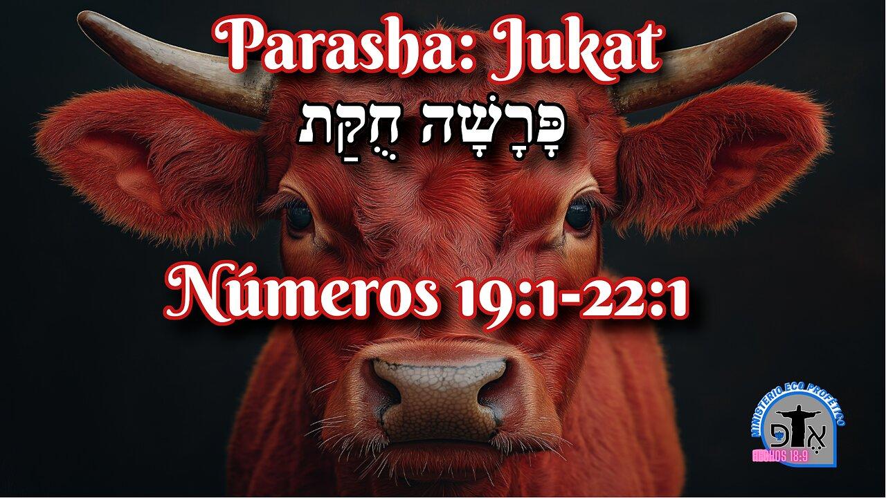 Porción Semanal de la Torah: Jukat (Estatuto)