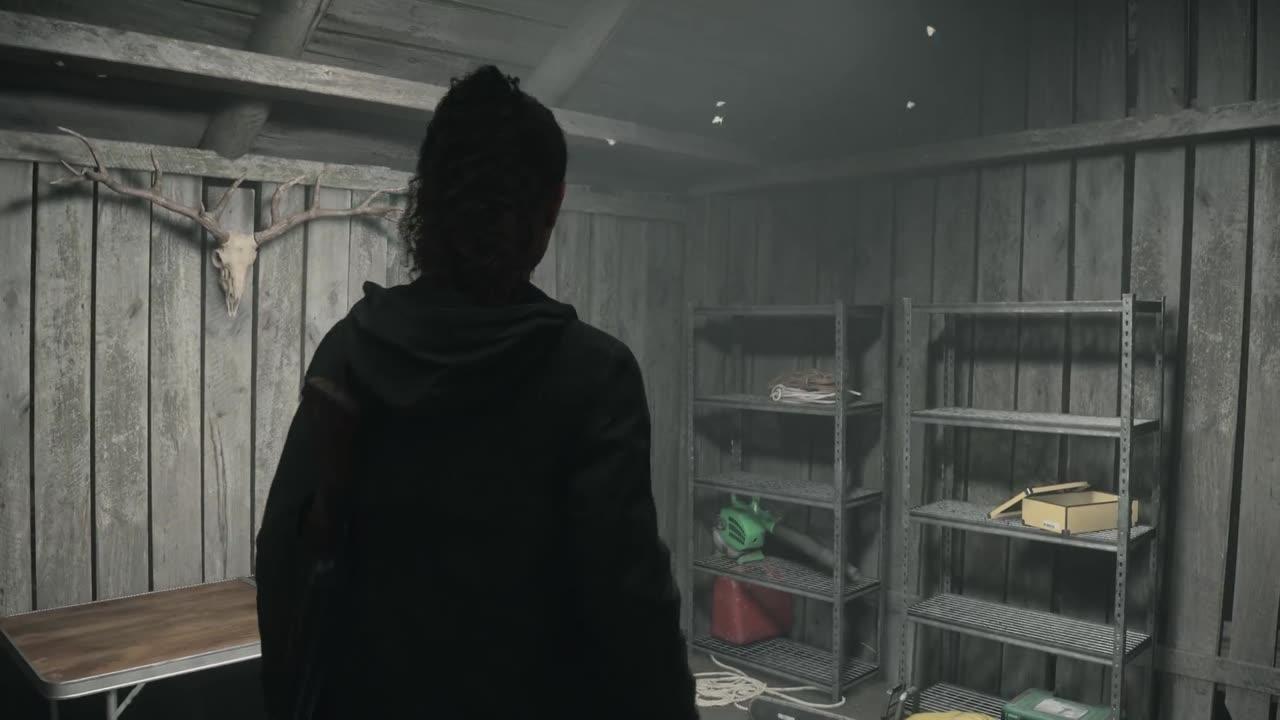 Lets Play Alan Wake 2 Part 11