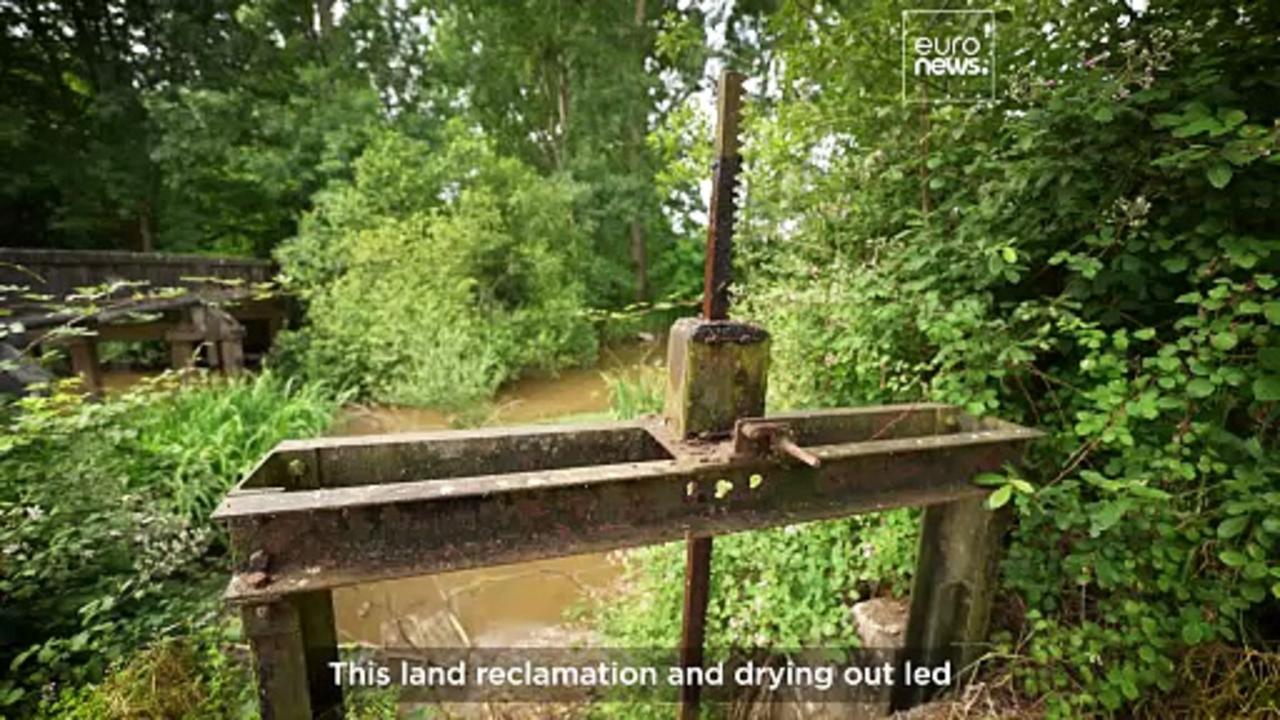 Why did Napoleon drain the Marais d'Orx?