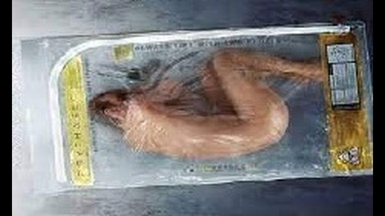 Altered Carbon (Takeshi Kovacs #1) by Richard K. Morgan