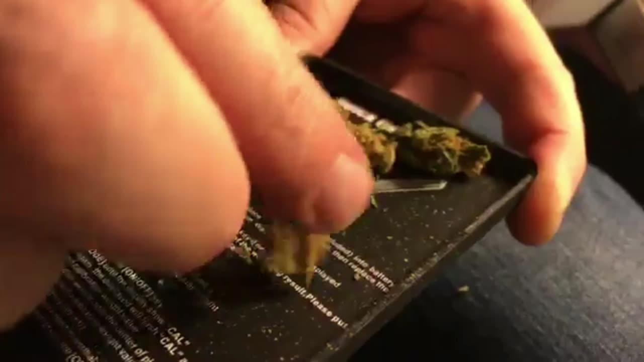 Pot TV LIVE