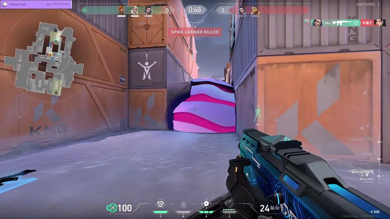 Play 4 FUN all luck no skill (ty for supporting me by viewing ads)