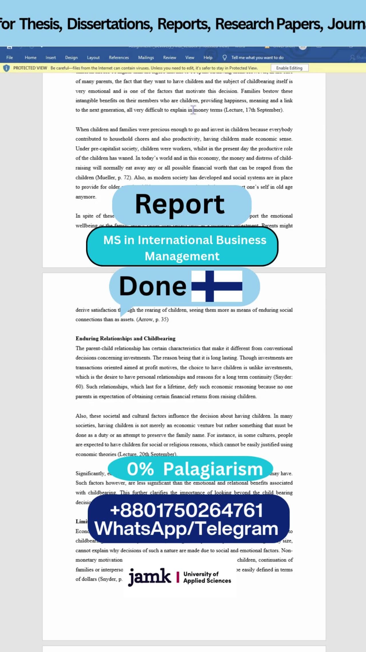 Student Work (Report) | JAMK Data-Driven Market Entry | JAMK University of Applied Sciences