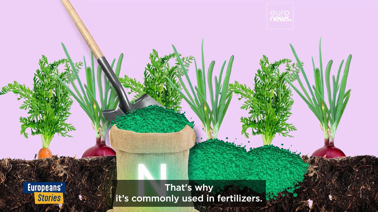 Too much manure, too little action: Dutch farming tests EU green goals