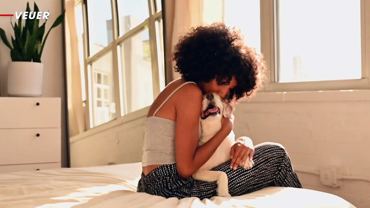 Is Kissing Your Pet Unsafe?