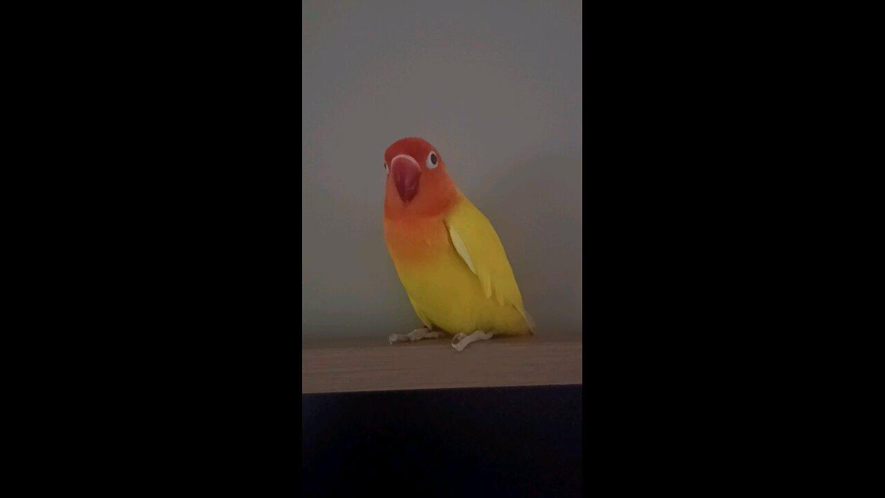 Get off the tv