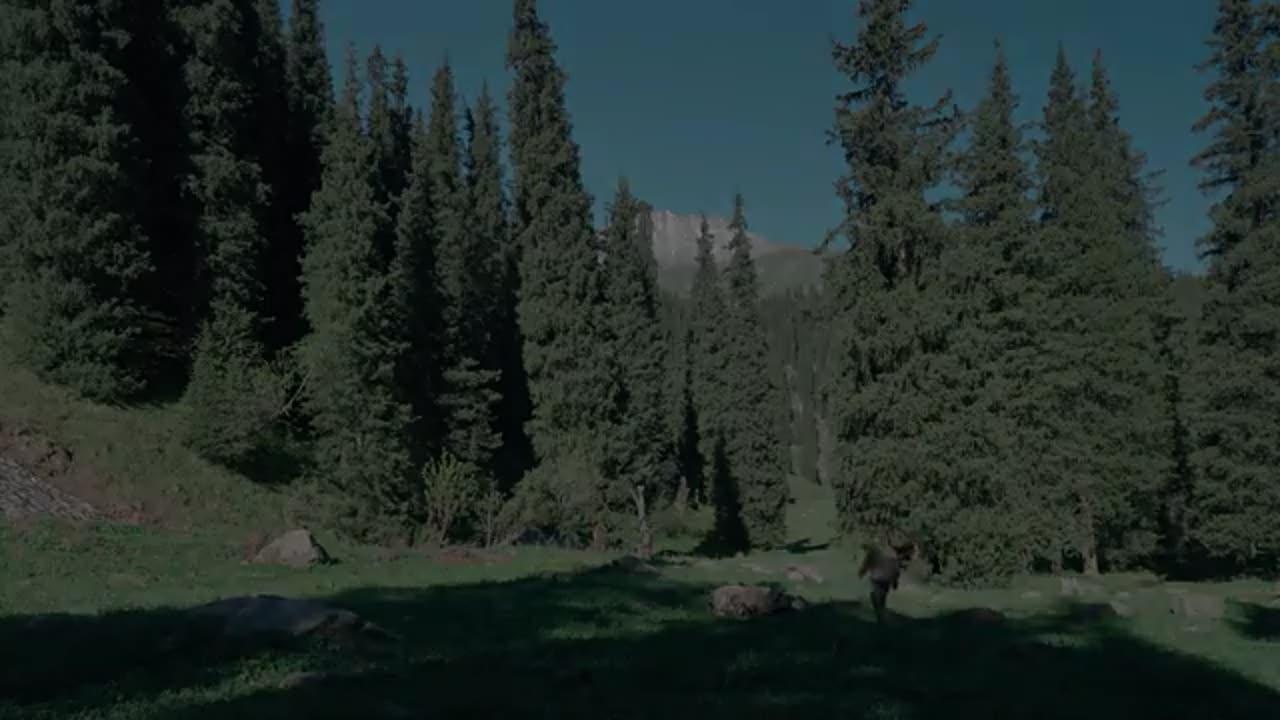 Saving a Forgotten Cabin in the Mountains | No Talking Wilderness Story