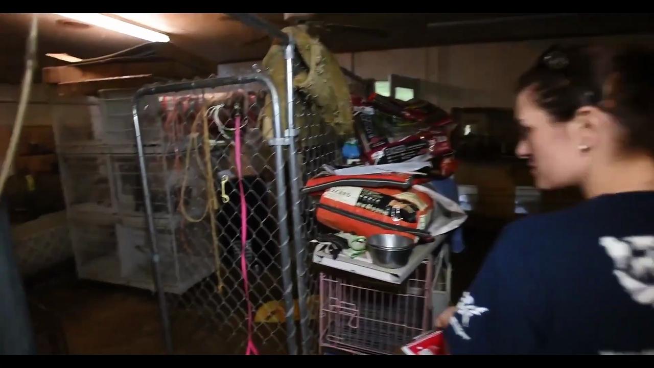 Dogspiracy Documentary Movie