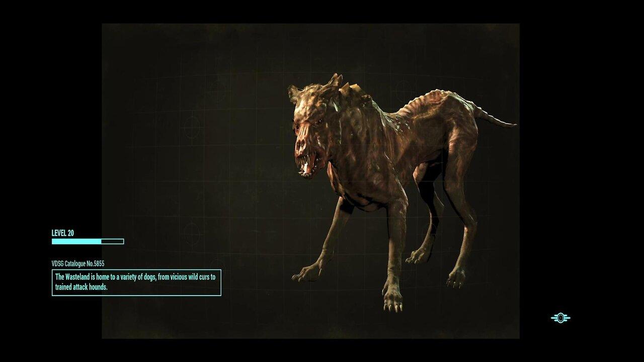 Fallout 4 Game Stream #50 - Danse And I Go Through The Glowing Sea + We Grab Those Last Bobbleheads!