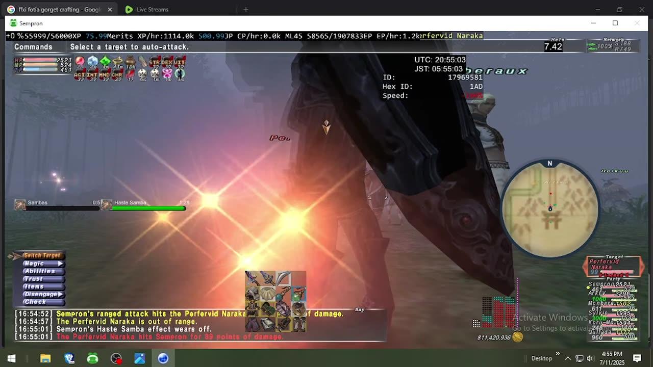 Playing Final Fantasy XI Online