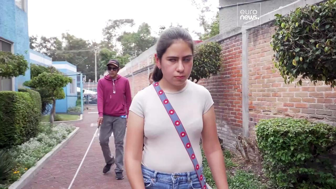 Watch: Mexico's guide dog school empowers the visually impaired