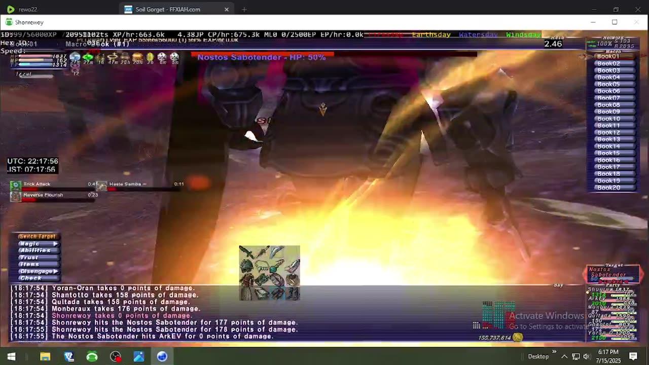 Playing Final Fantasy XI Online
