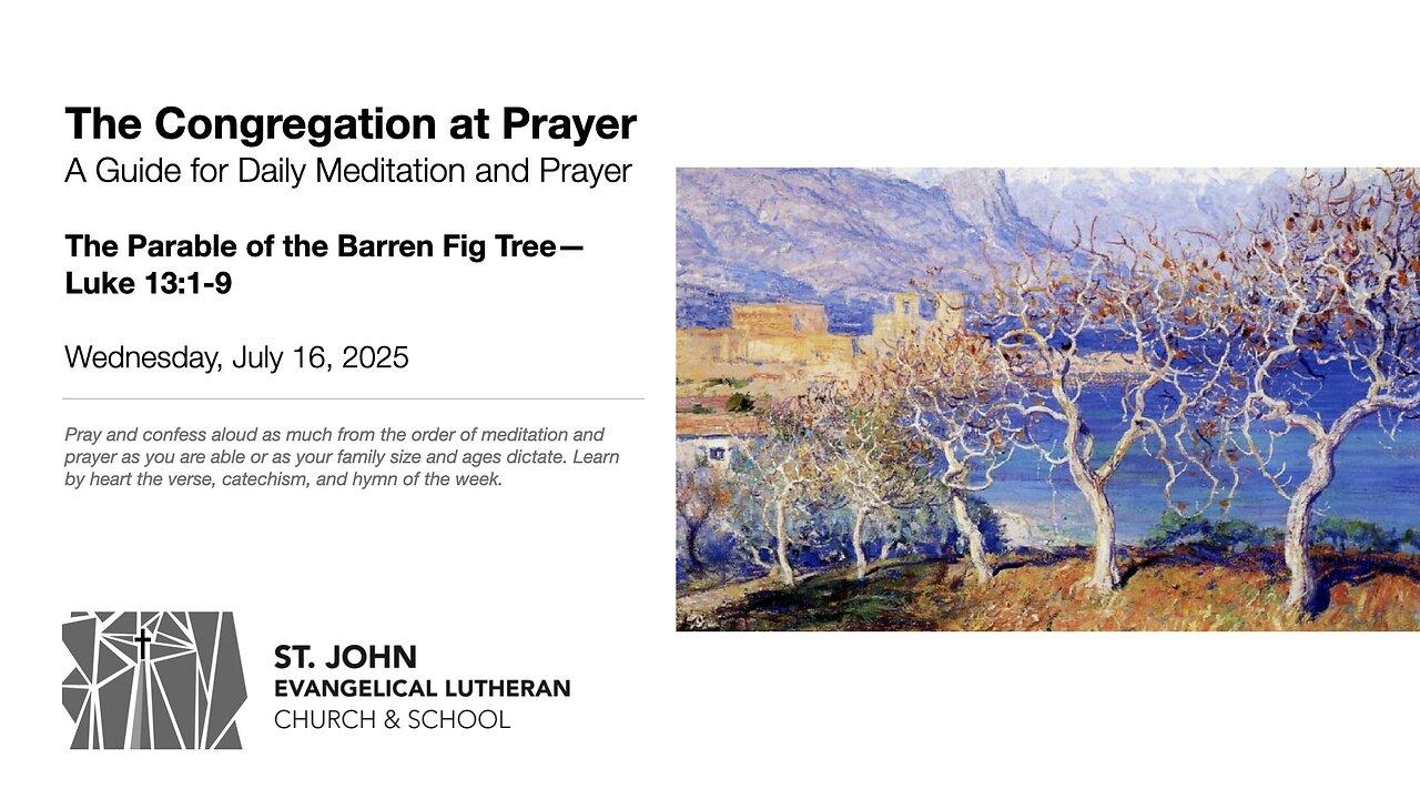 The Parable of the Barren Fig Tree—Luke 13:1-9