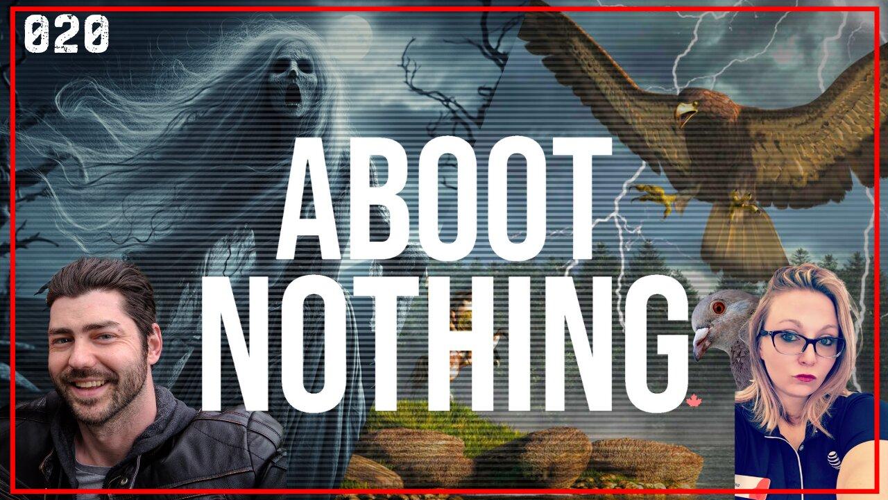 ABOOT NOTHING 020 | Thunderbird vs Banshee and other meaningless things