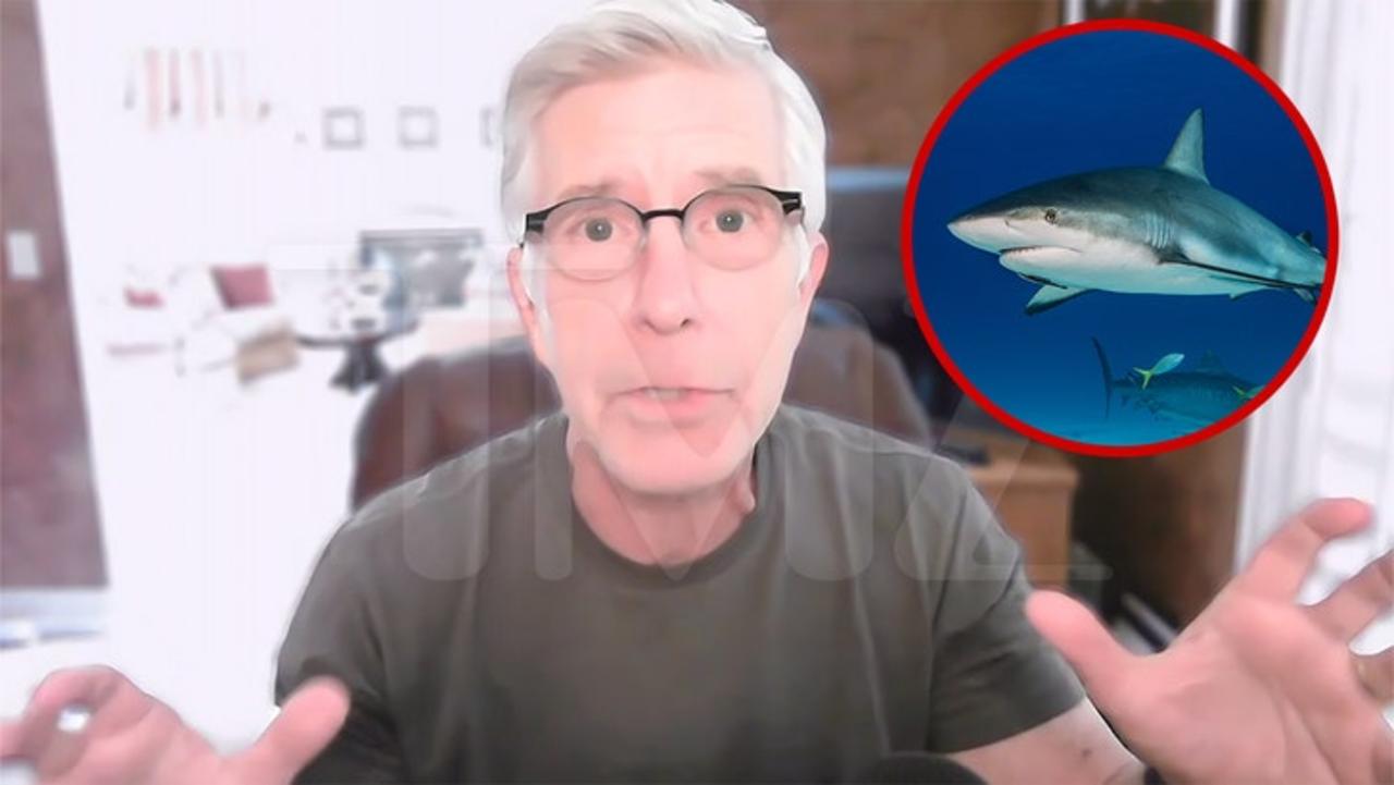 Tom Bergeron Talks New TV Show 'Dancing With Sharks'