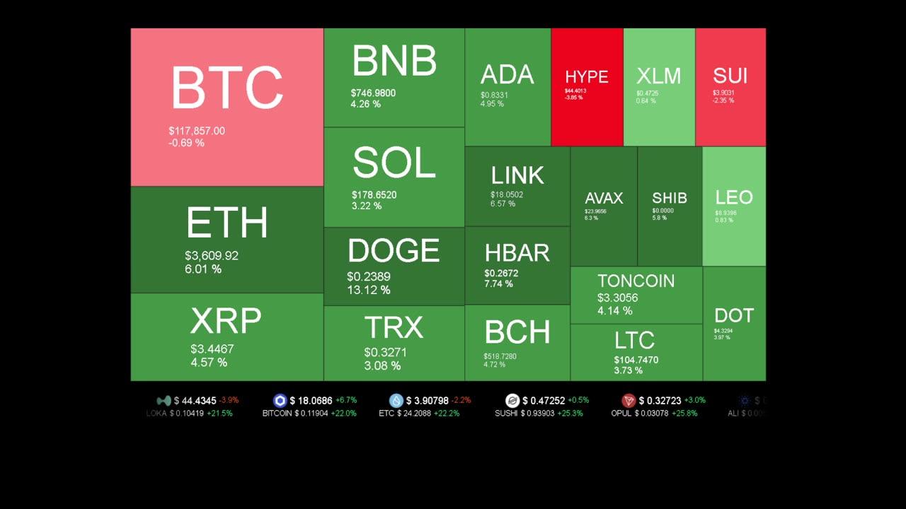 Live Coin Price Watch!