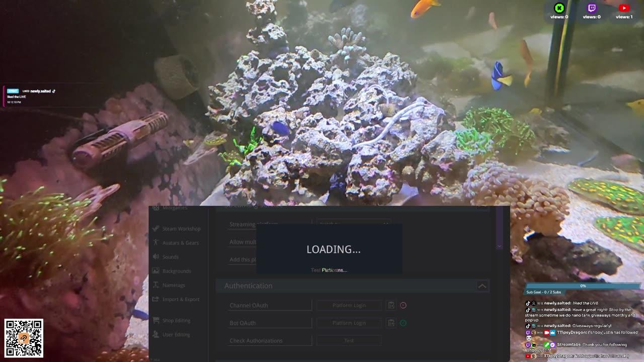 24/7 Real Live Reef Stream