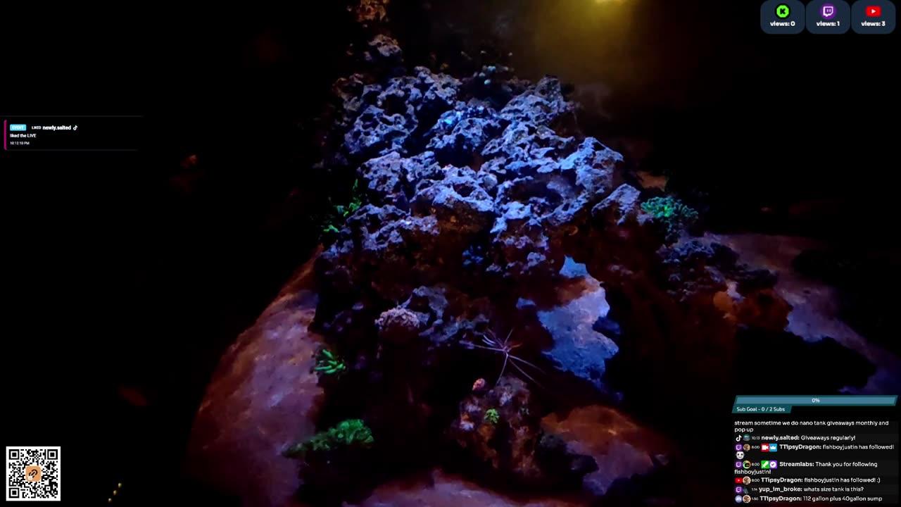 24/7 Real Live Reef Stream