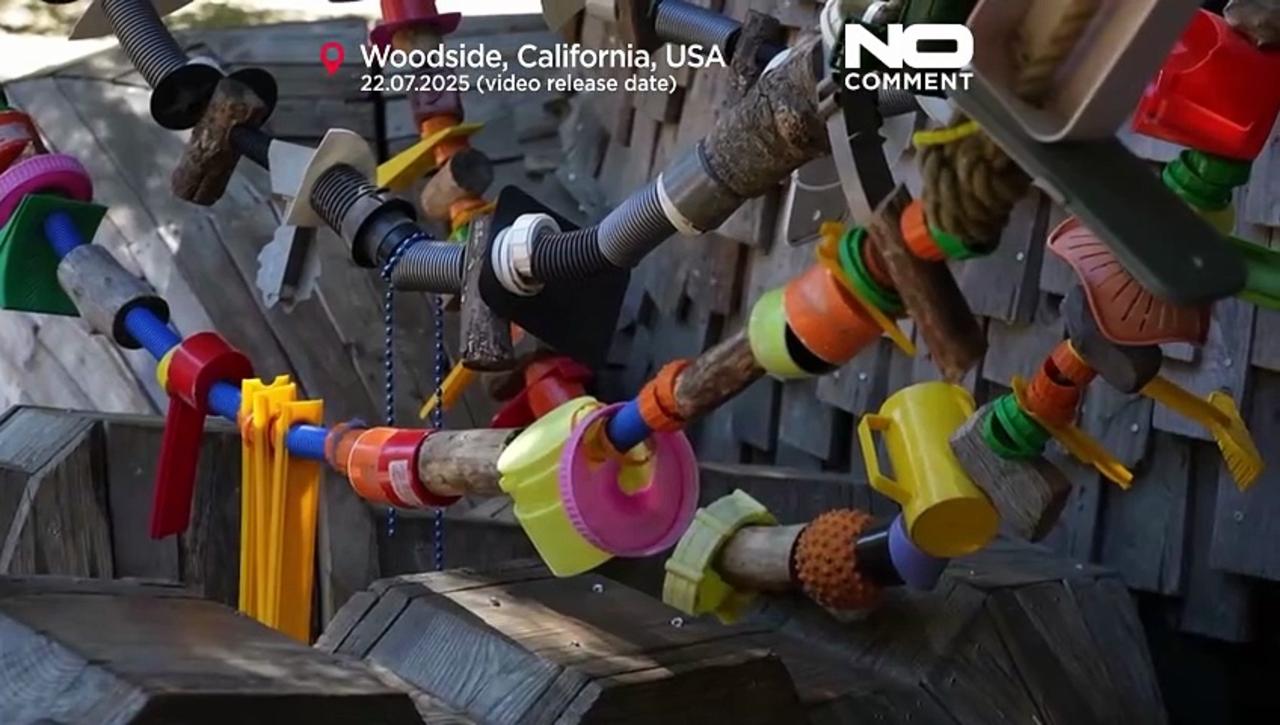 Giant trolls made from trash warn against environmental destruction
