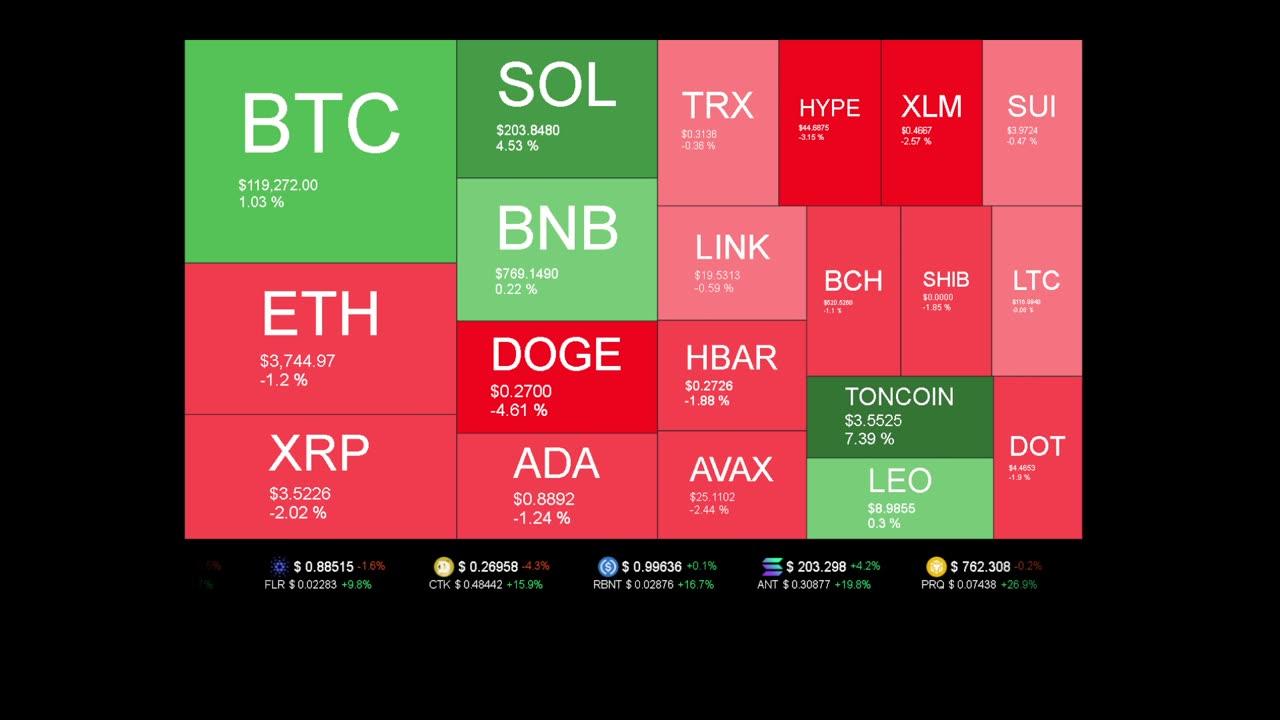 Live Coin Price Watch!