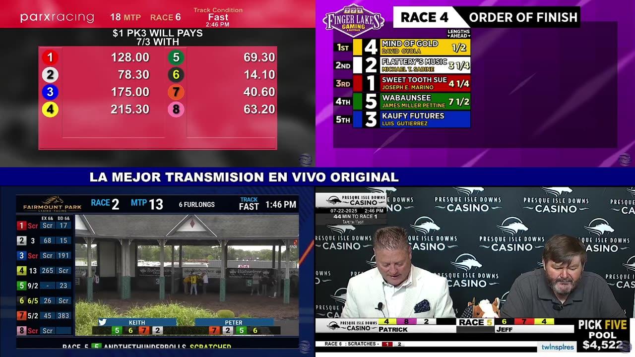 LIVE HORSES TV