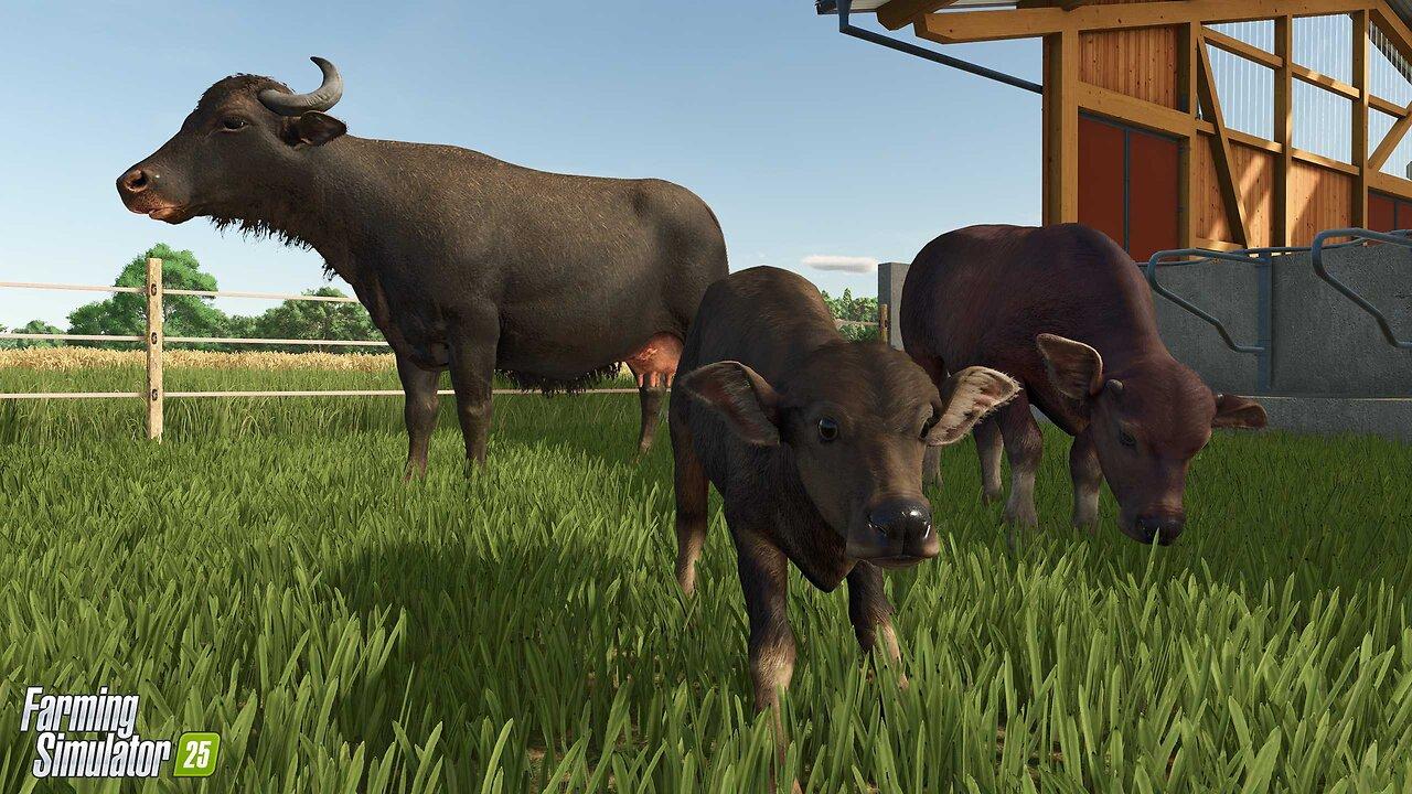 🔴LIVE! | (OZZY Tribute RIP) Caring for Farm Animals and Dealing with Tight Roads