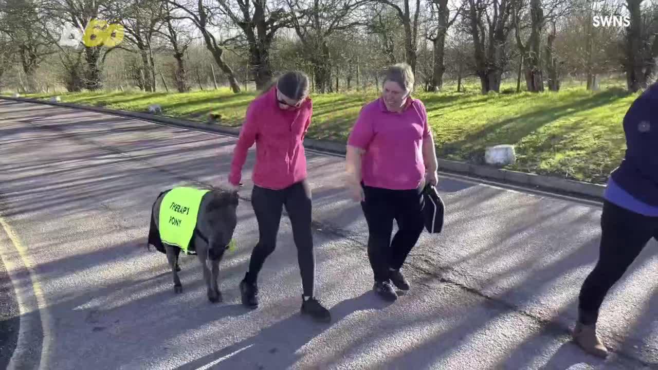 This Adorable Pony is Spreading Cheer at a Hospital