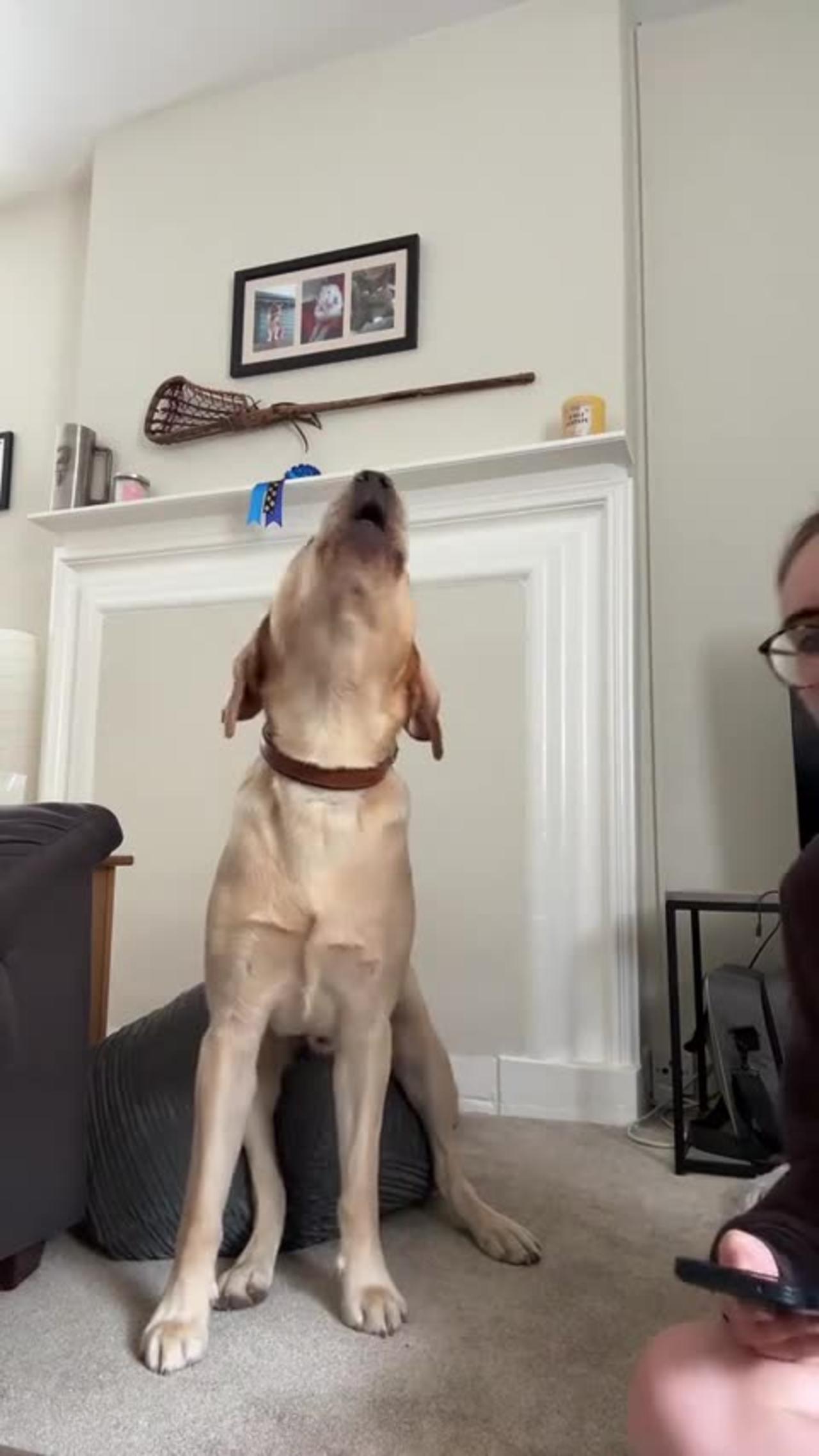😂 Ladies and Gentlemen, the Next Billy Joel! | FunFM