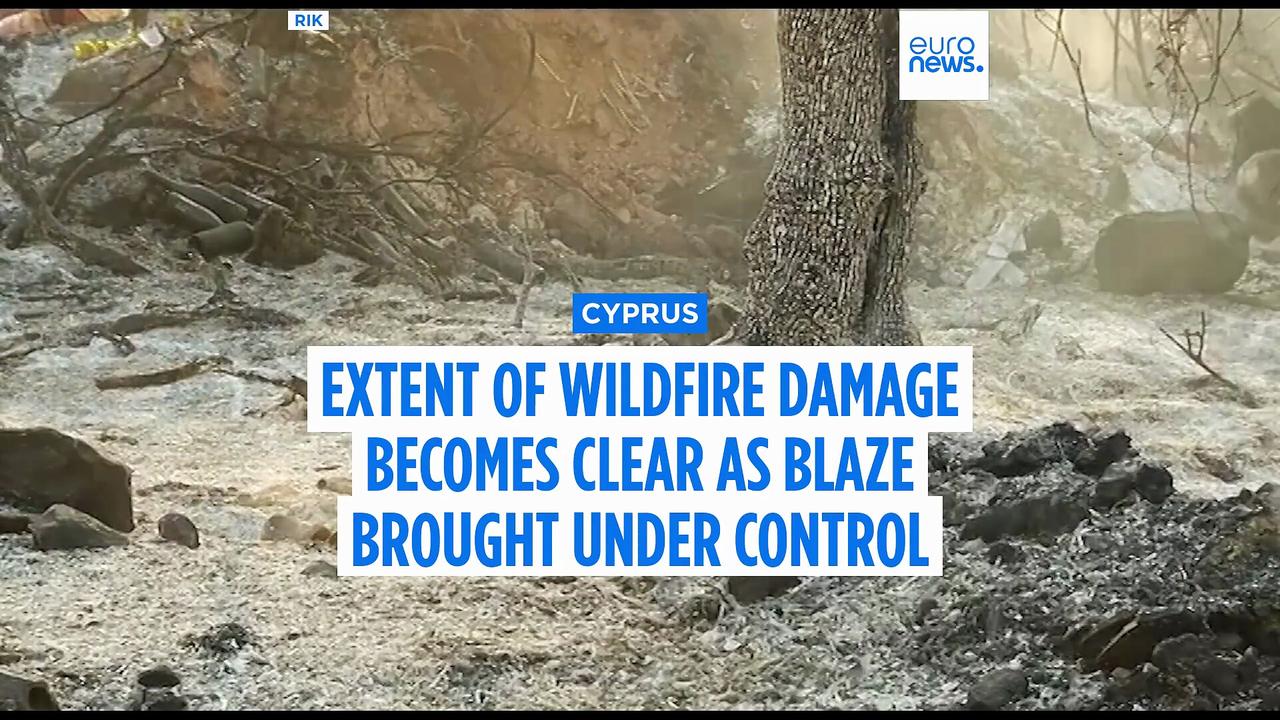 Extent of damage from Cyprus wildfires becoming clear as blazes brought under control