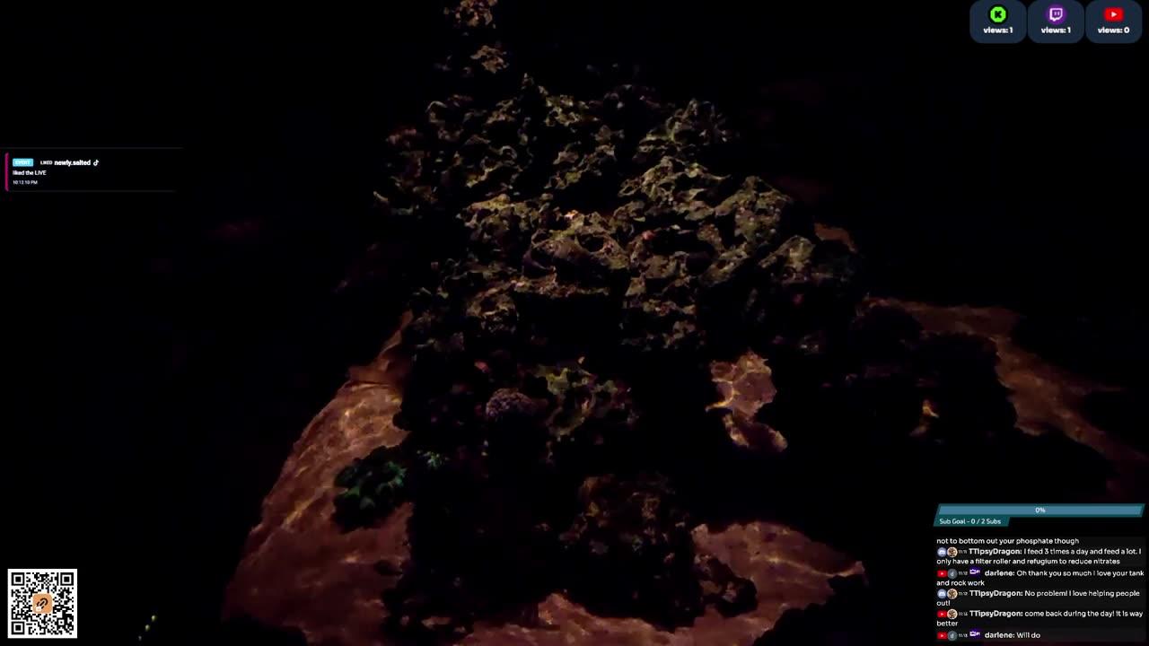 24/7 Real Live Reef Stream