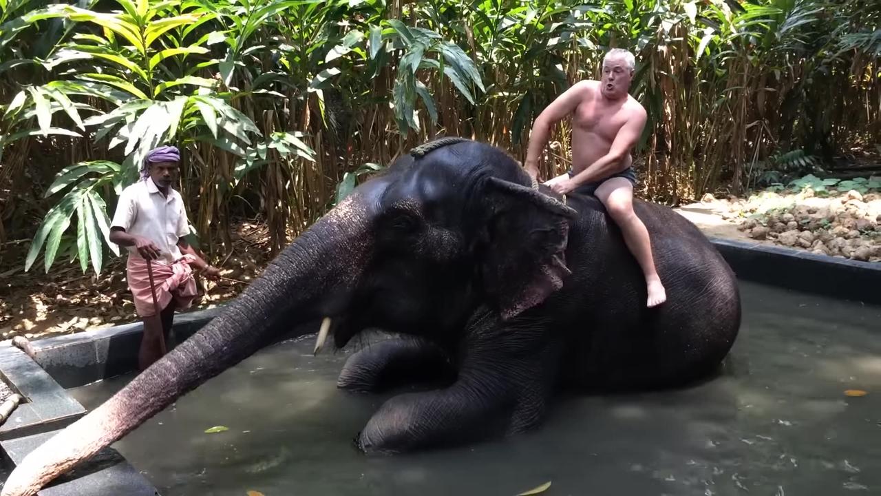 TRY NOT TO LAUGH Challenge 😂 | Hilarious Weekend at the Zoo – LAUGH TRIGGER Compilation!