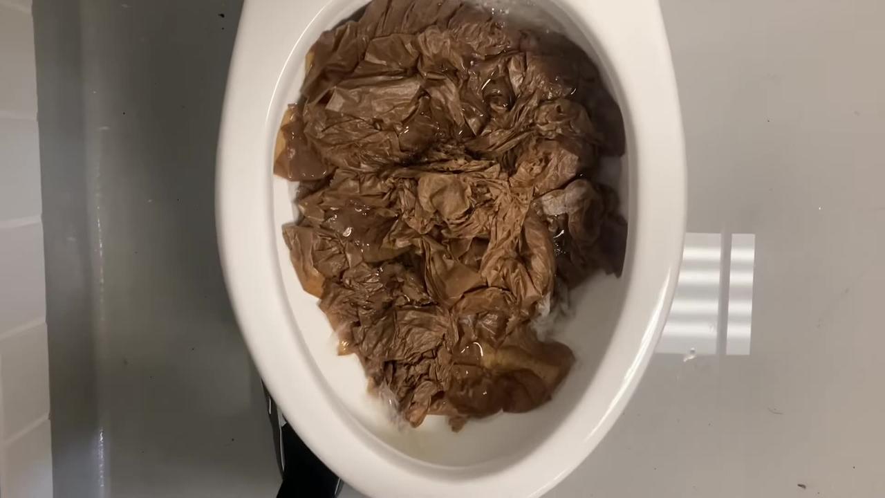 A Video of Paper Towels Some Kids Stuffed Down the Toilet Full Shoot!