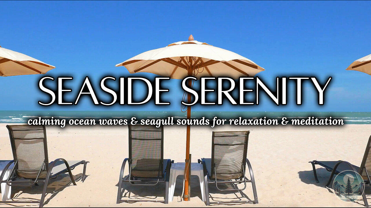[LIVE] Seaside Serenity 🏖️🌊 Calming Ocean Waves & Seagull Sounds for Relaxation | Sounds of Nature