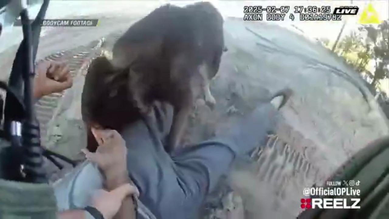 This High-Speed Chase Ended When K9 Red Took Over