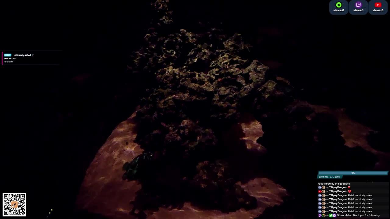 24/7 Real Live Reef Stream
