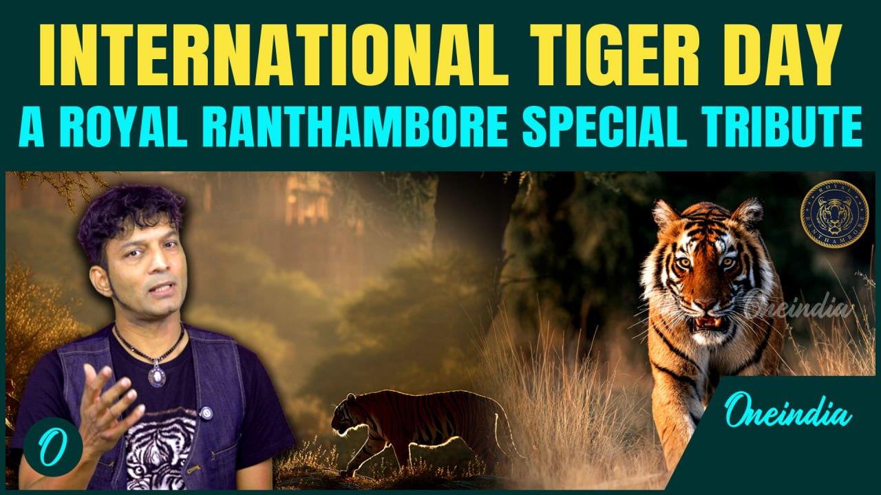 Royalty Meets the Wild: Royal Ranthambore Celebrates International Tiger Day with a Timeless Ode
