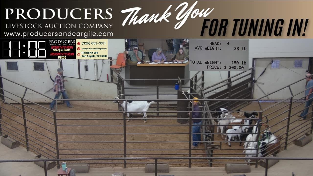 7/30/2025 - Sheep & Goat Auction - Producers Livestock Auction Company