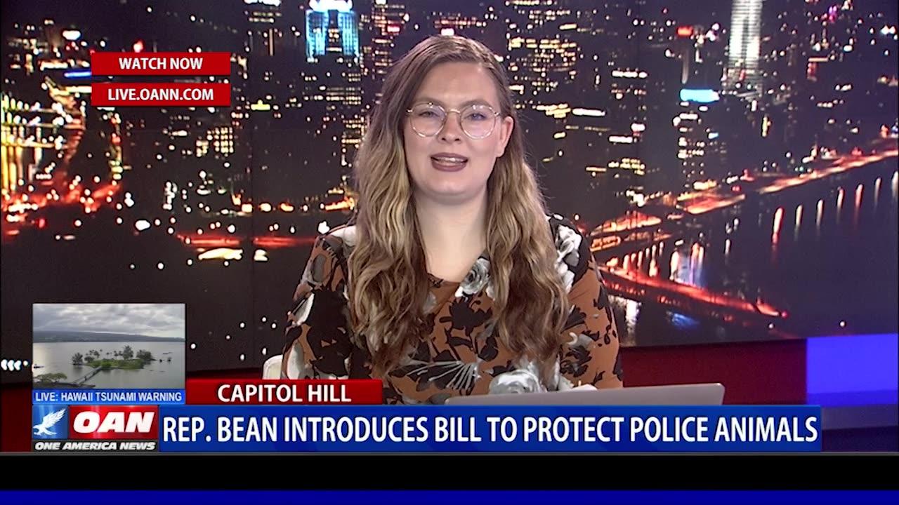 Rep. Bean Honors Fallen Police Dogs With Bill