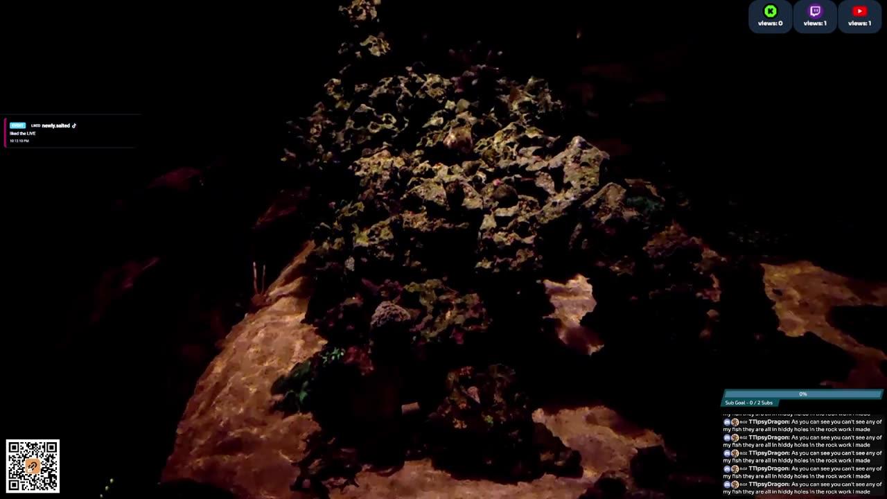 24/7 Real Live Reef Stream