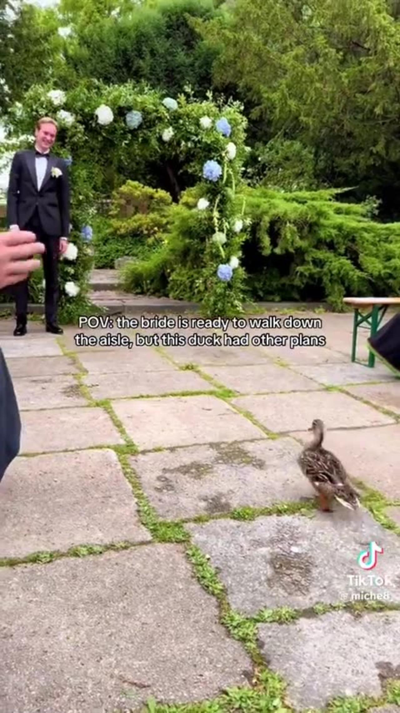 😂👰 You Won't Believe This Wild Wedding Moment! | FunFM