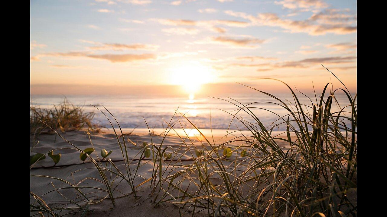 Ocean State of Mind – Live NC Coastline