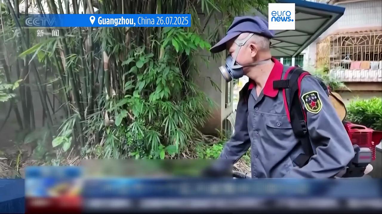 China reports thousands of chikungunya cases amid outbreak of mosquito-borne virus