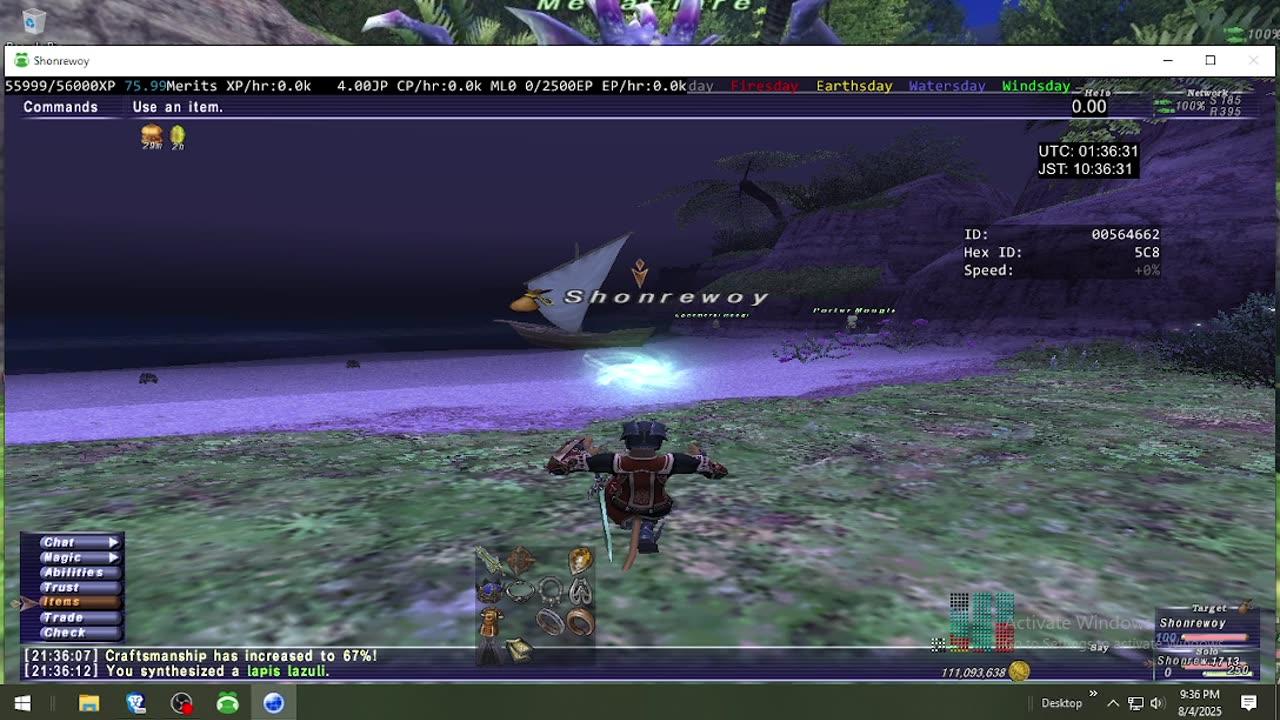 Playing Final Fantasy XI Online