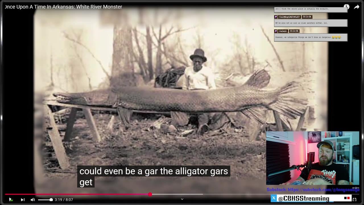 Arkansas Cryptids