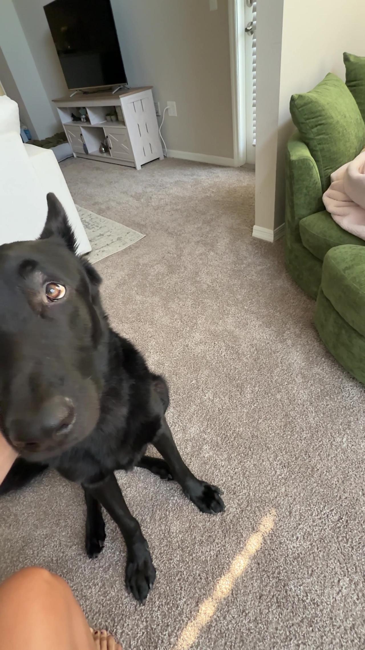 Time for His Breakfast Burp